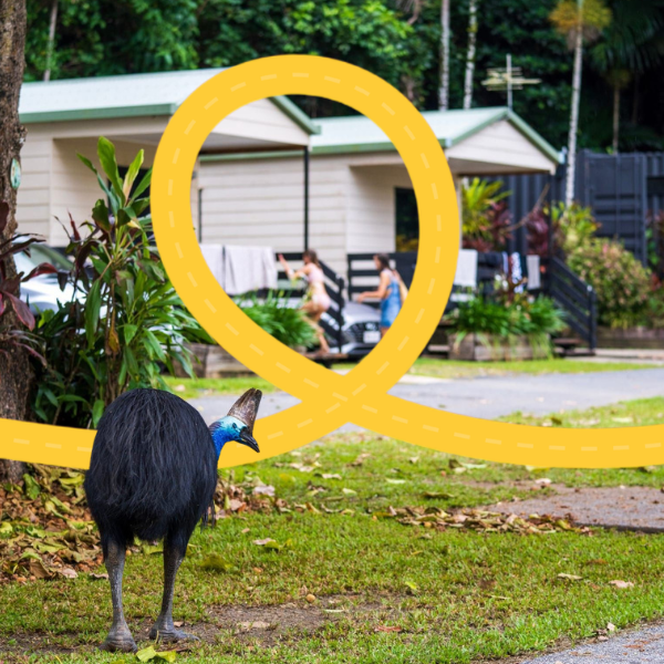 Etty Bay Caravan Park and Cabins